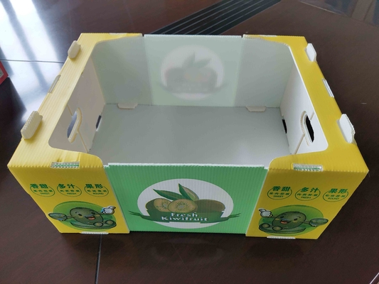 Herbruikbare plastic fruitdoos met aangepaste capaciteit en ventilatie met kleurenprinten