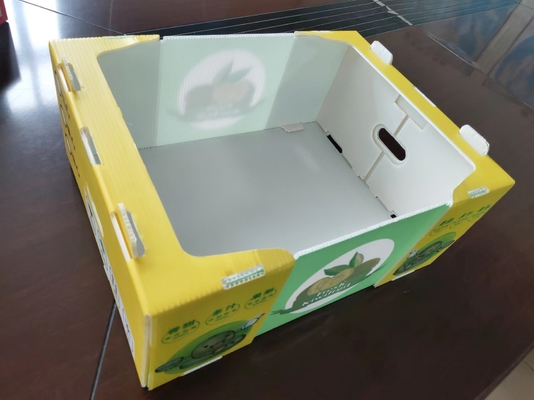 Herbruikbare plastic fruitdoos met aangepaste capaciteit en ventilatie met kleurenprinten