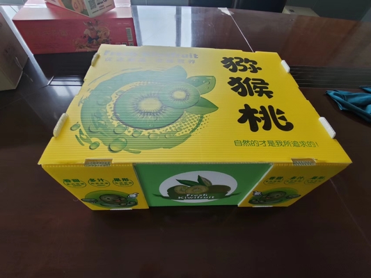 Herbruikbare plastic fruitdoos met aangepaste capaciteit en ventilatie met kleurenprinten