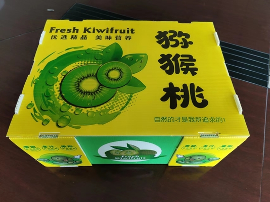 Herbruikbare plastic fruitdoos met aangepaste capaciteit en ventilatie met kleurenprinten
