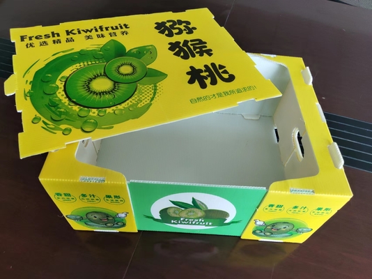 Herbruikbare plastic fruitdoos met aangepaste capaciteit en ventilatie met kleurenprinten
